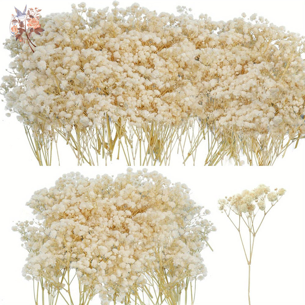 Candle Making Uk - Mini Dried Gypsophila Flower DIY Aromatherapy