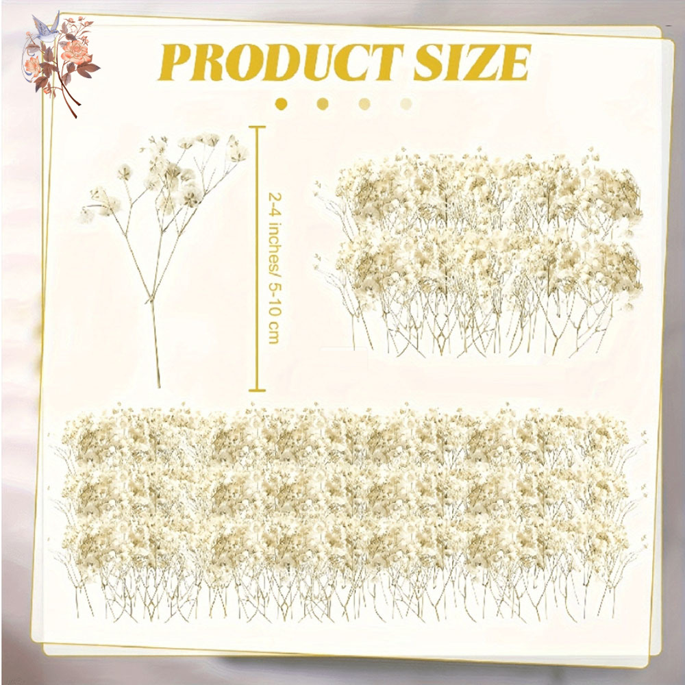 Mini Dried Gypsophila Flower D - Candle Making Uk review and price