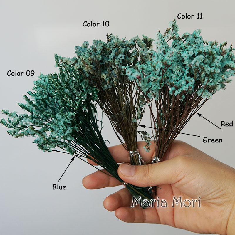 5g/ Colorful Dired Preserved C - Candle Making Uk review and price
