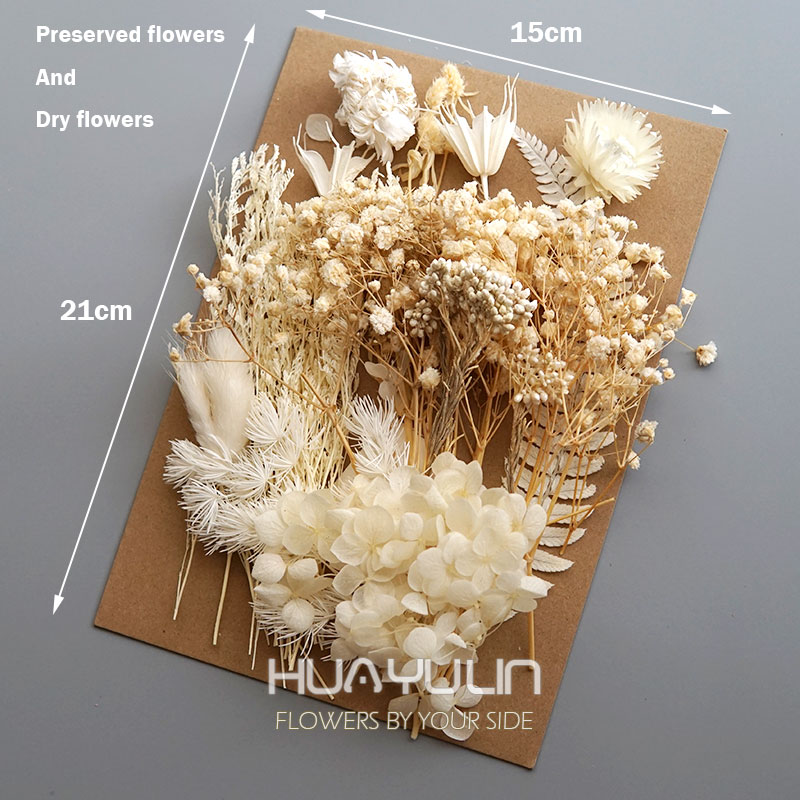 1 Pack Artificial Plants Dried - Candle Making Activity review and price